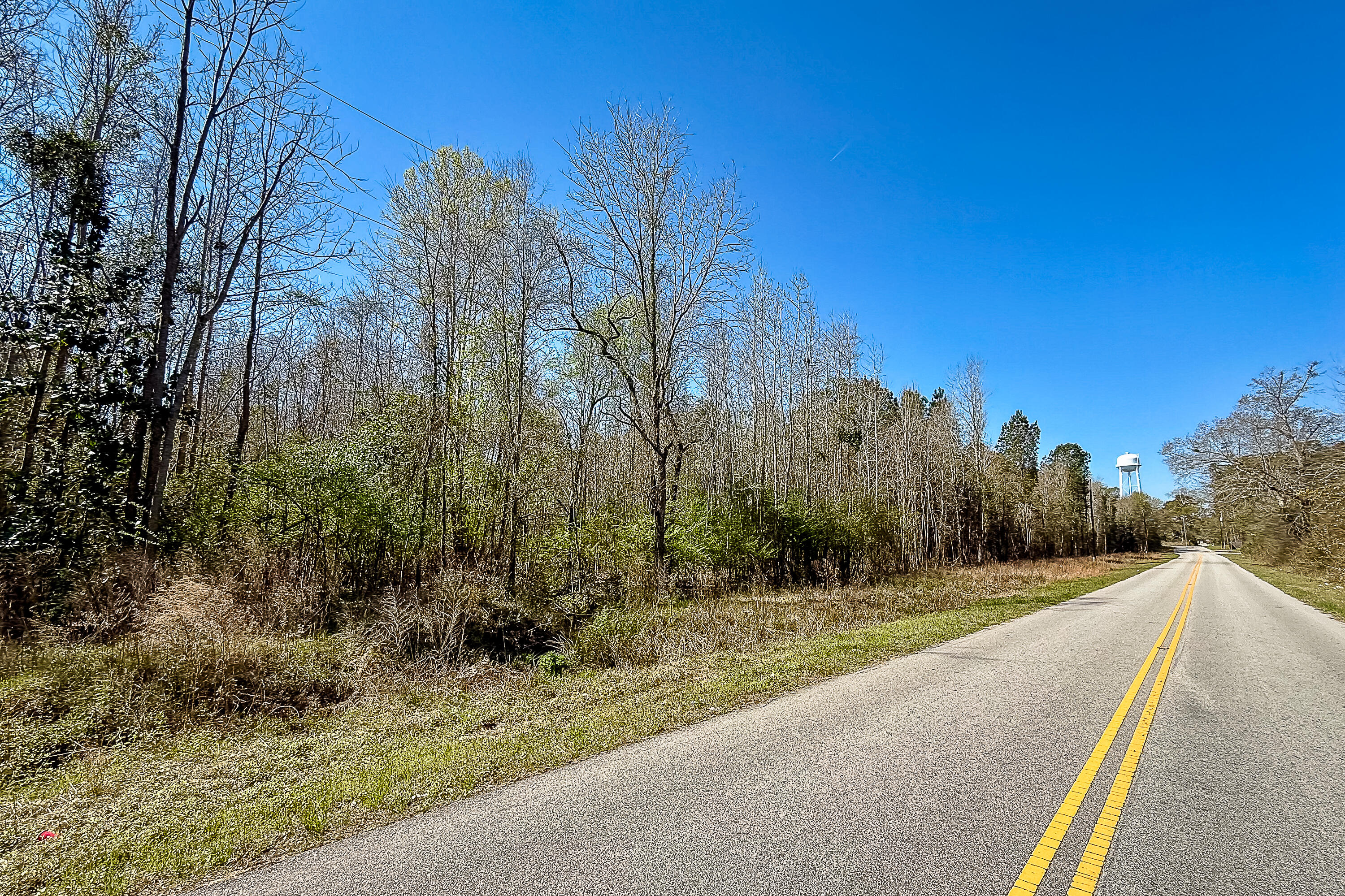 5986 Voorhees Road Denmark, SC 29042 - Photo 5 of 8 Compass South Land Sales South Carolina