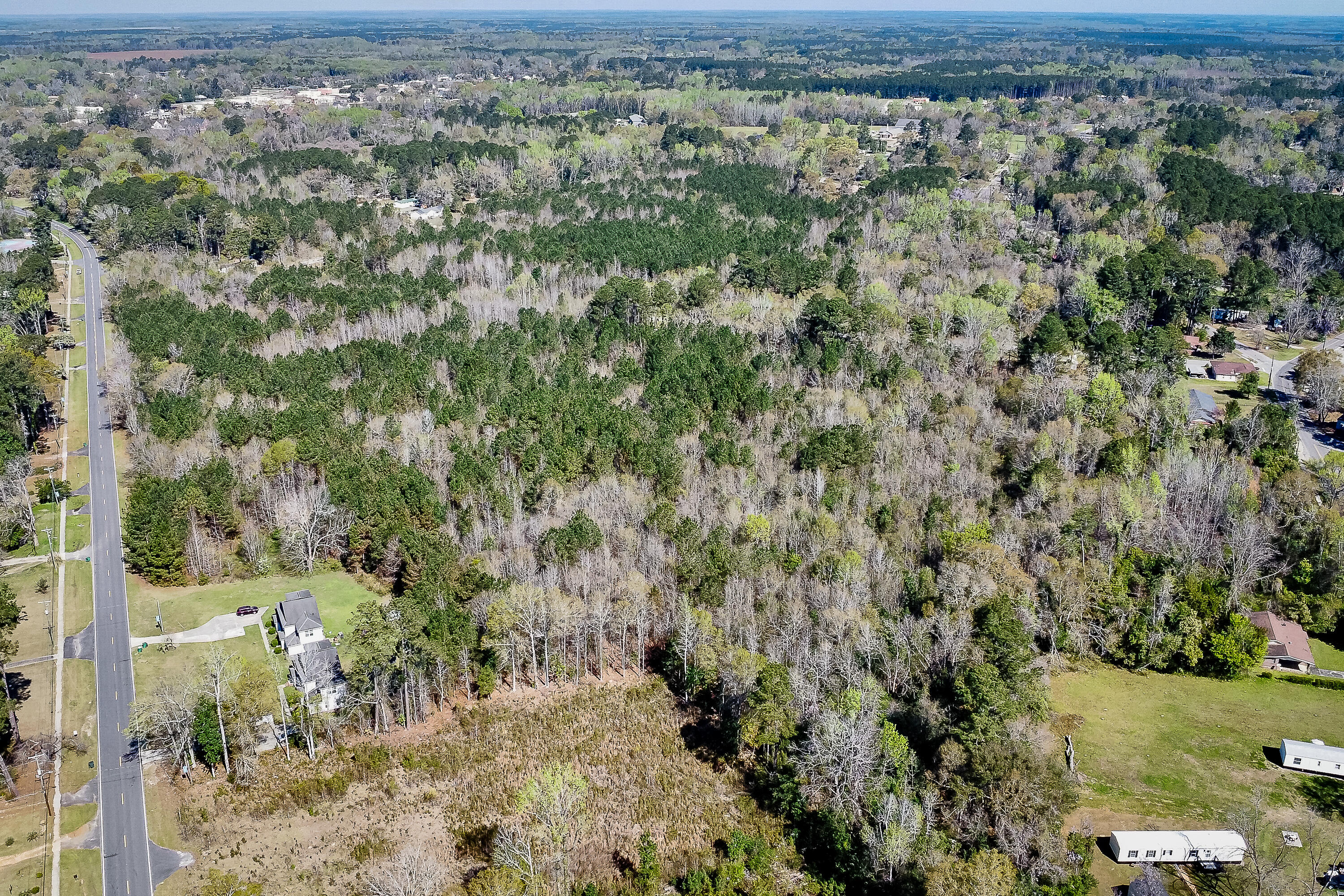 5986 Voorhees Road Denmark, SC 29042 - Photo 7 of 8 Compass South Land Sales South Carolina
