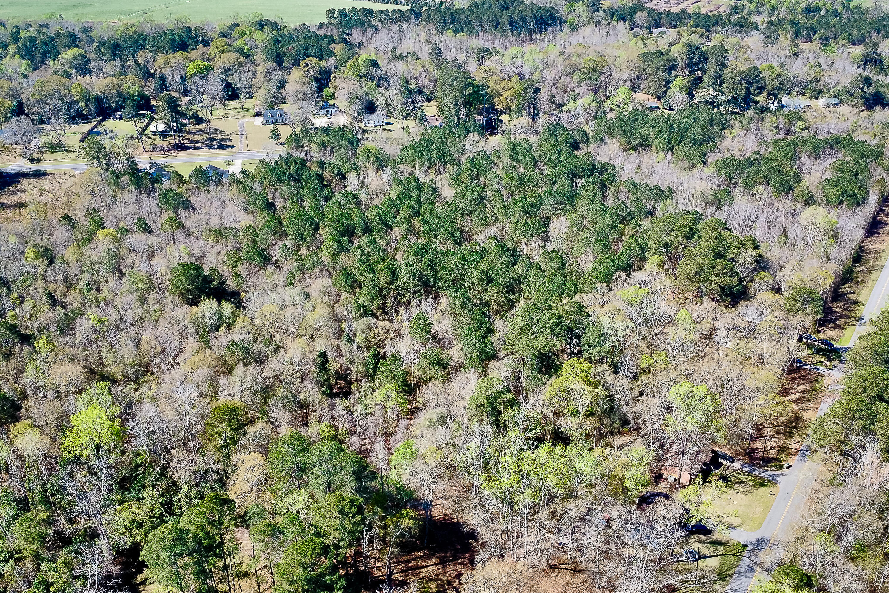 5986 Voorhees Road Denmark, SC 29042 - Photo 8 of 8 Compass South Land Sales South Carolina