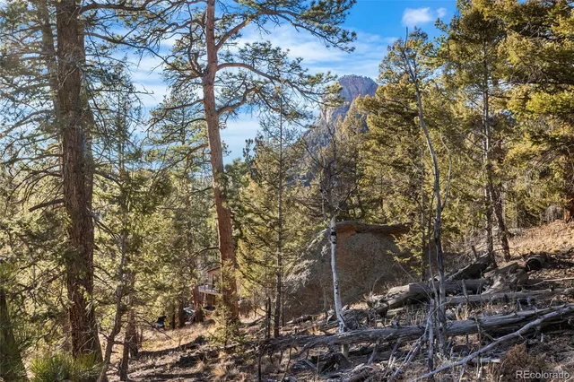 a view of a backyard of the house