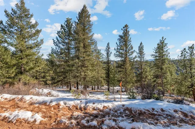 a view of a snow in the yard