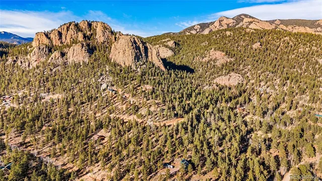 a view of a backyard with large trees