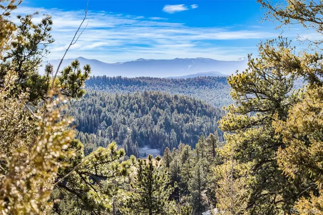 a view of a yard with plants and trees