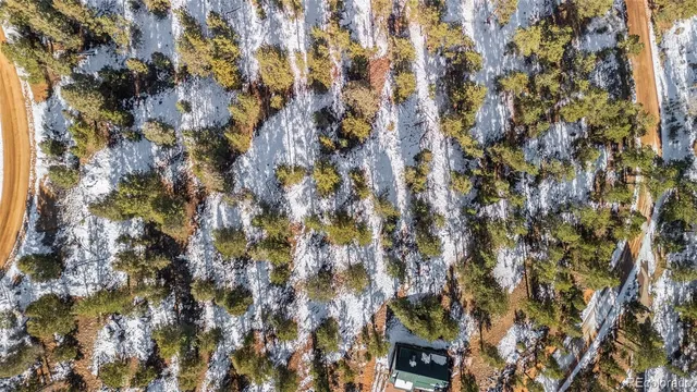a view of lot of flowers and trees
