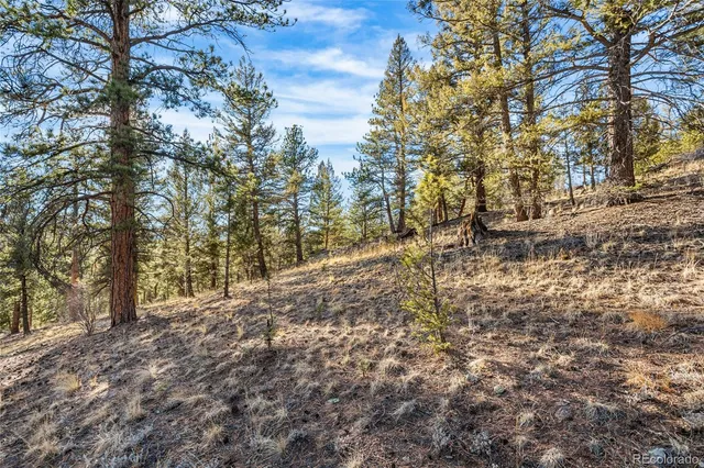 a view of a building