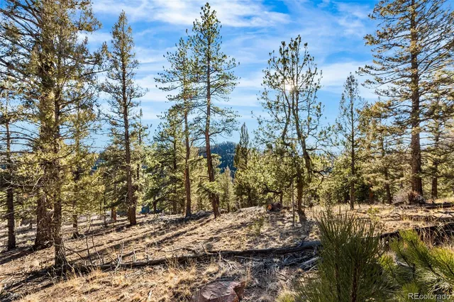 $245,000 | 35441 Upper Aspen Lane, Pine, CO 80470