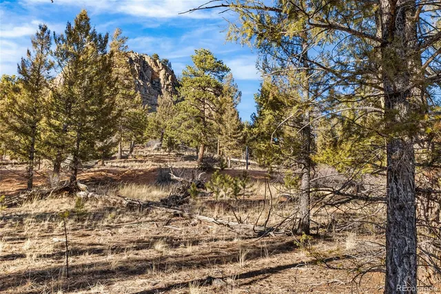 $245,000 | 35441 Upper Aspen Lane, Pine, CO 80470