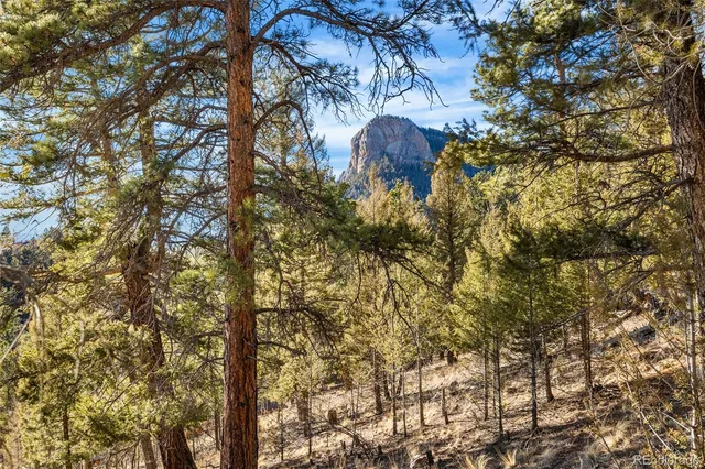 a view of lot of flowers and trees