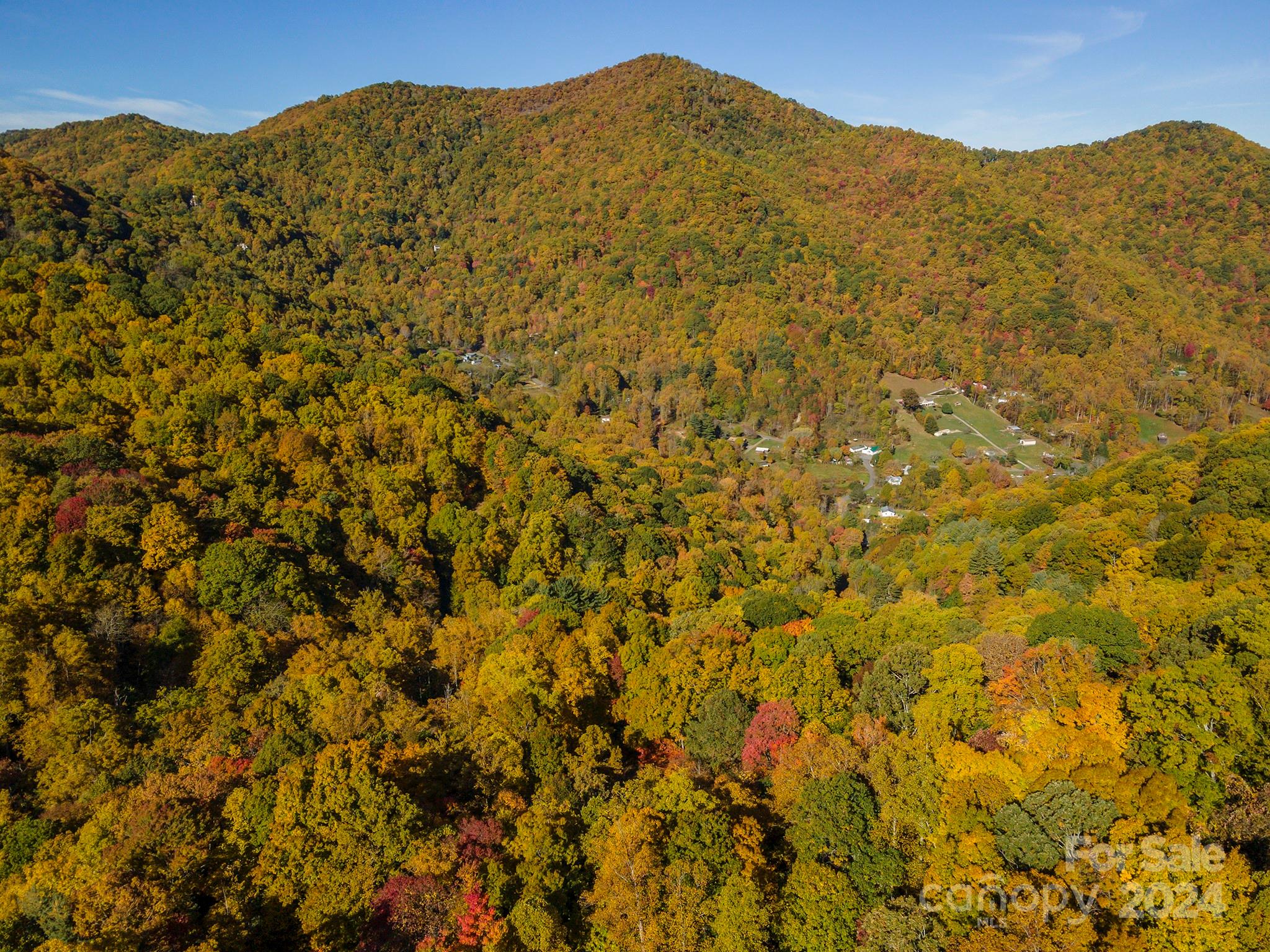 99999 Harwood Road Barnardsville, NC 28709 - Photo 11 of 21 a view of a large mountain with a mountain in the background