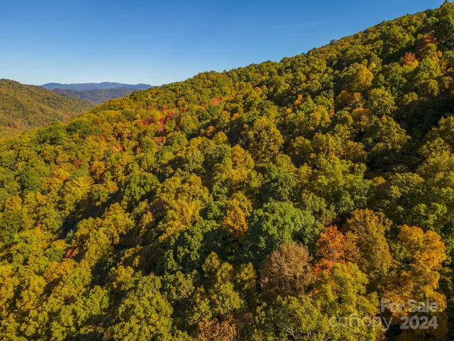 $335,000 | 99999 Harwood Road, Barnardsville, NC 28709