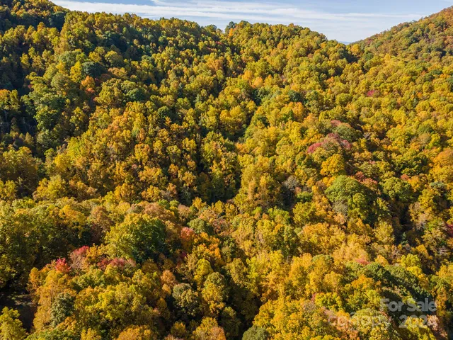 $335,000 | 99999 Harwood Road, Barnardsville, NC 28709