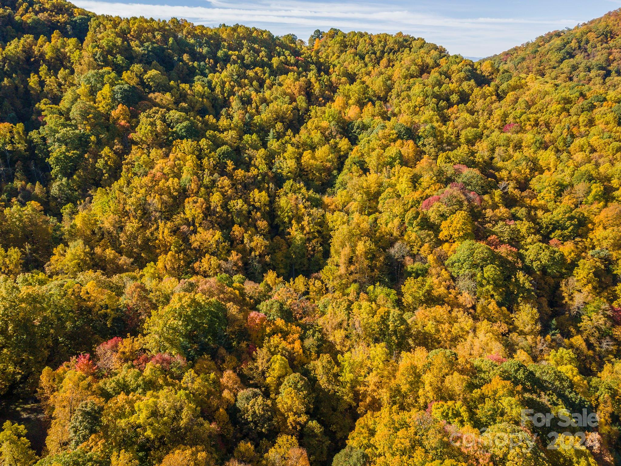 99999 Harwood Road Barnardsville, NC 28709 - Photo 21 of 21 a view of a dry yard