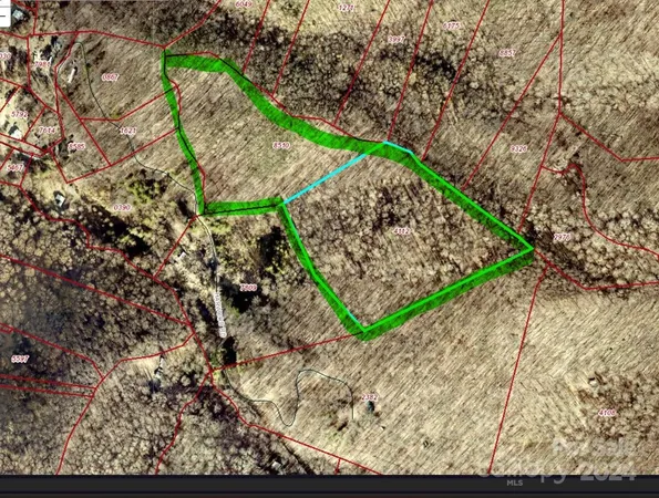 a view of a bird bath