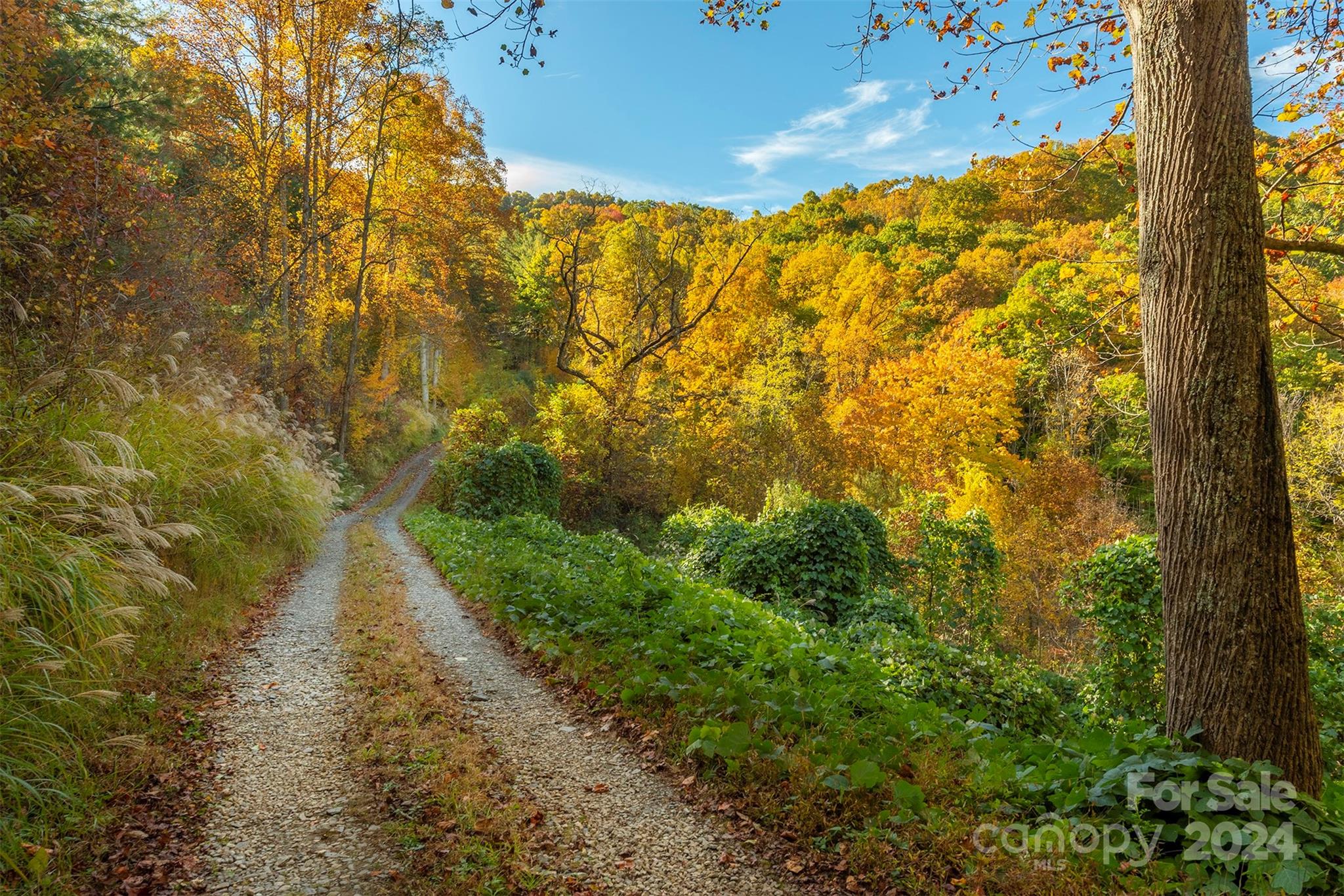 99999 Harwood Road Barnardsville, NC 28709 - Photo 5 of 21