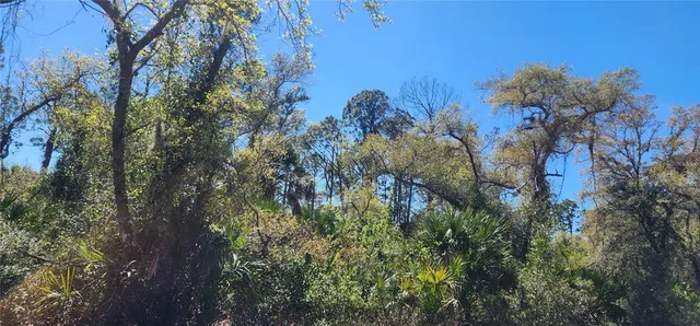 $25,000 | 14051 Stanfield Avenue, Port Charlotte, FL 33953