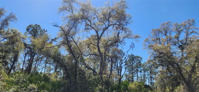 $25,000 | 14051 Stanfield Avenue, Port Charlotte, FL 33953