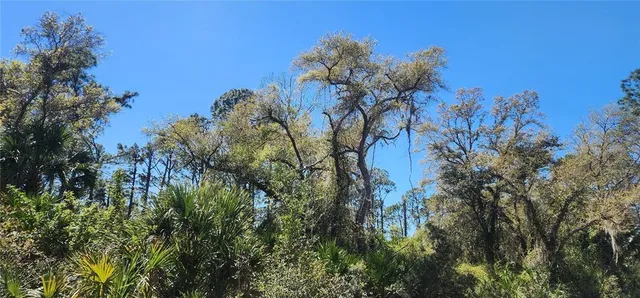 $25,000 | 14051 Stanfield Avenue, Port Charlotte, FL 33953