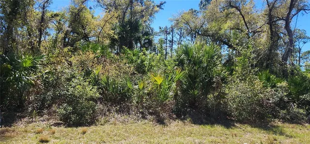 $25,000 | 14051 Stanfield Avenue, Port Charlotte, FL 33953