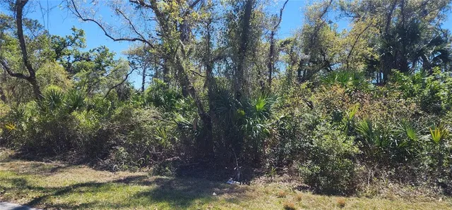 $25,000 | 14051 Stanfield Avenue, Port Charlotte, FL 33953