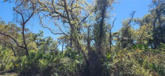 $25,000 | 14051 Stanfield Avenue, Port Charlotte, FL 33953