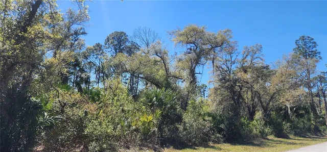 $25,000 | 14051 Stanfield Avenue, Port Charlotte, FL 33953