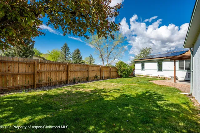 a view of a backyard with a tree