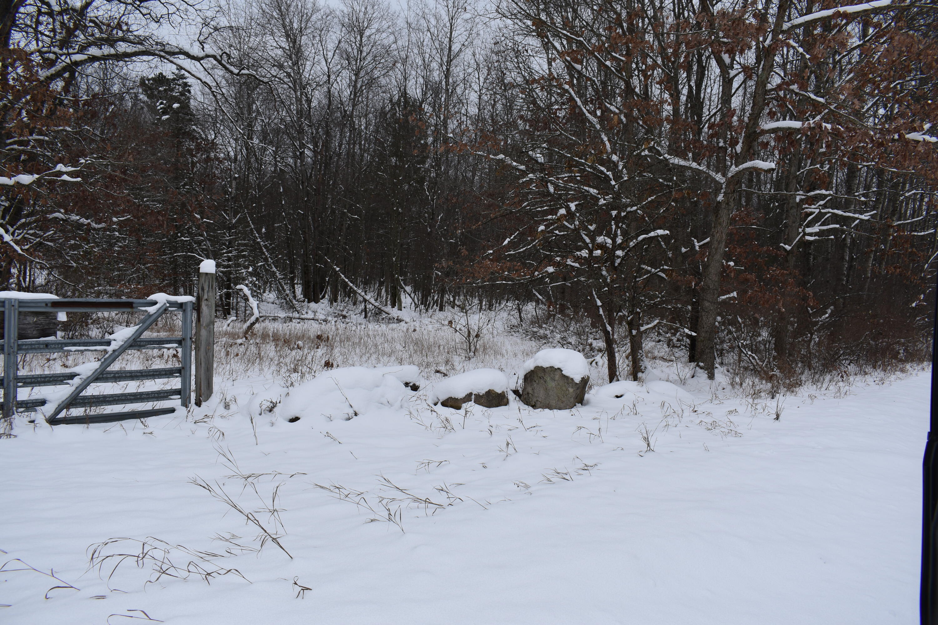 0 Clements Road Brethren, MI 49619 - Photo 3 of 11 DSC_0515
