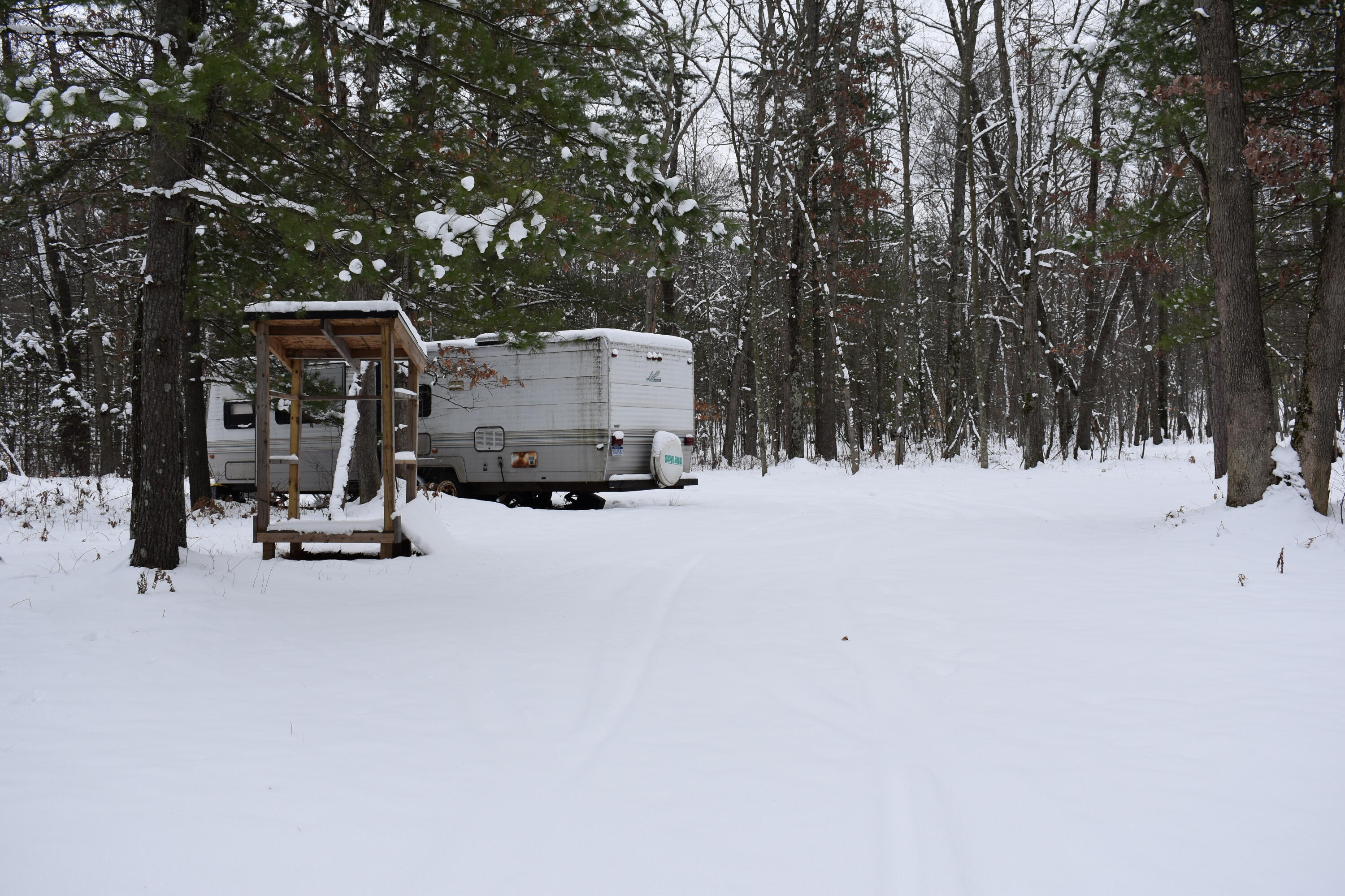 0 Clements Road Brethren, MI 49619 - Photo 7 of 11 DSC_0521