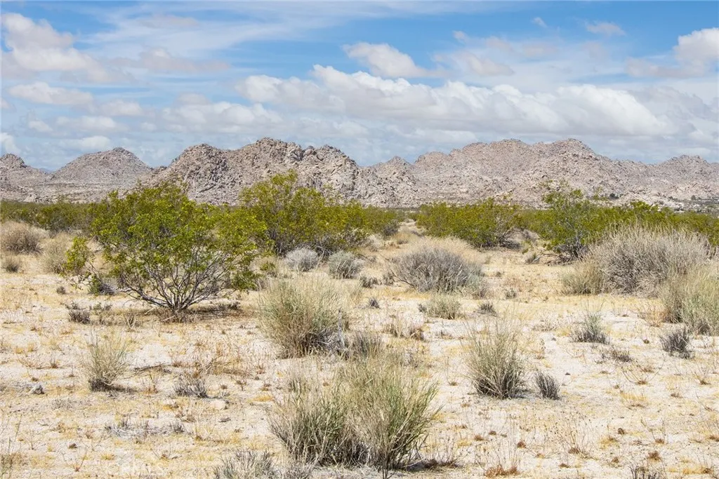 7200 Sun View Road Twentynine Palms, CA 92277 - Photo 14 of 18 a view of lake and mountain