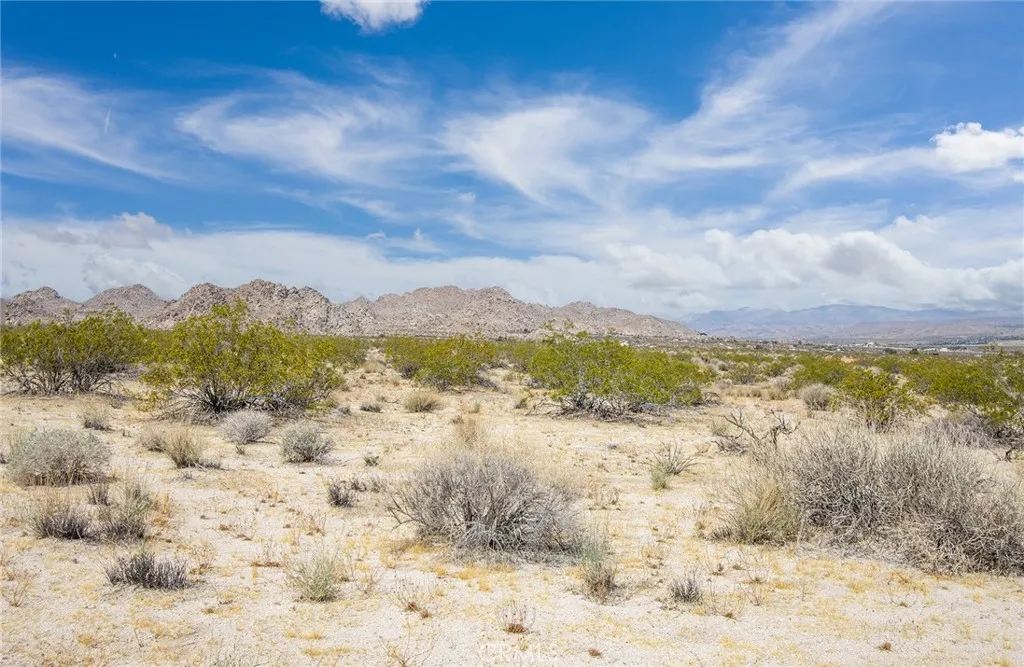 7200 Sun View Road Twentynine Palms, CA 92277 - Photo 17 of 18 a view of a lake with a mountain