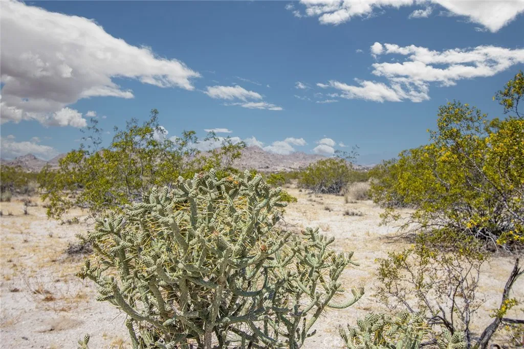 7200 Sun View Road Twentynine Palms, CA 92277 - Photo 18 of 18 a view of a yard