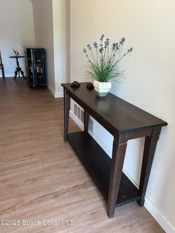 a view of a hallway with wooden floor and a potted plant