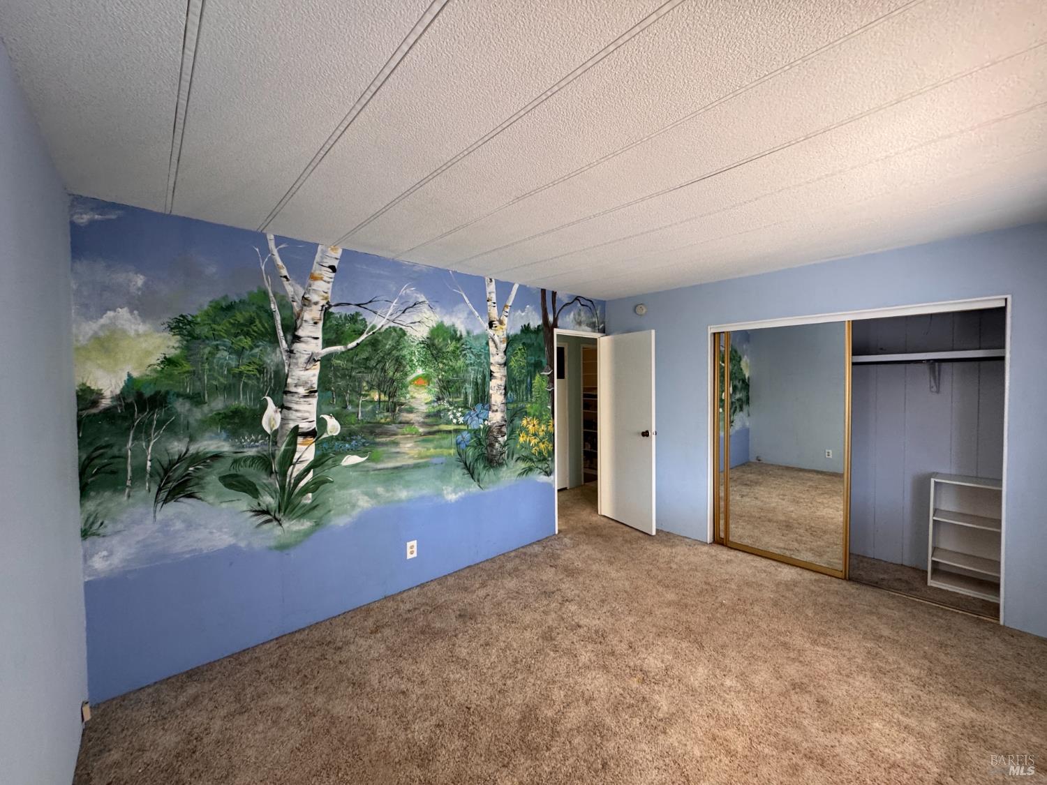 28 Springhill Court Santa Rosa, CA 95409 - Photo 20 of 36 an empty room with yard and mountain view