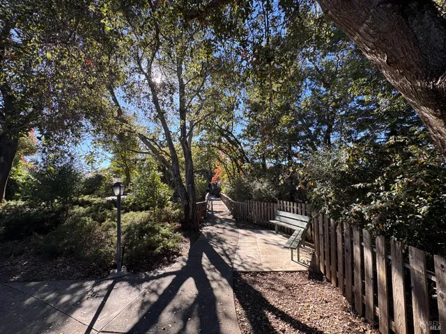 a view of a park with large trees