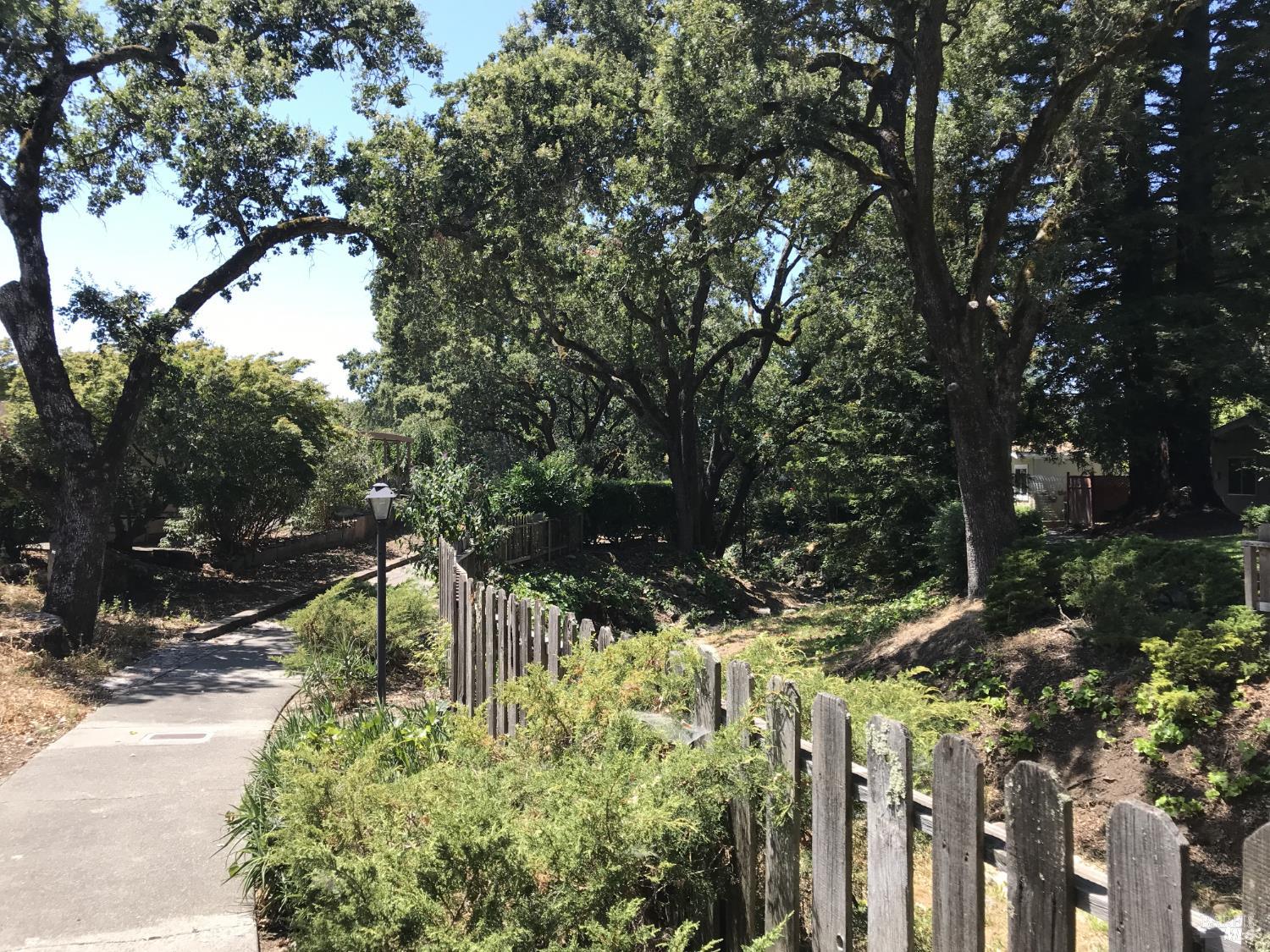 28 Springhill Court Santa Rosa, CA 95409 - Photo 32 of 36 a view of a park with large trees