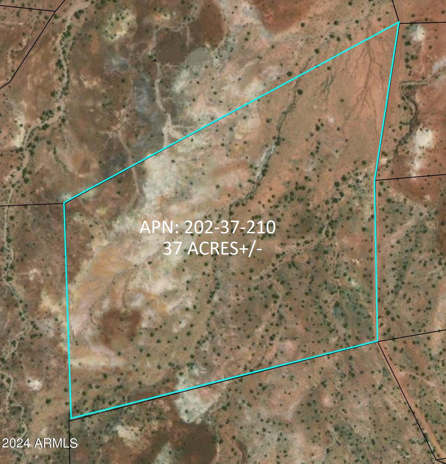 123 County Road St. Johns, AZ 85936 - Photo 3 of 12