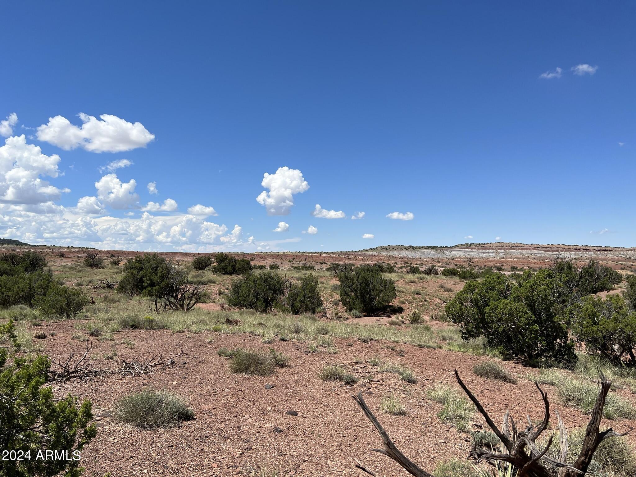 123 County Road St. Johns, AZ 85936 - Photo 4 of 12 a view of a pathway with a yard and mountain view