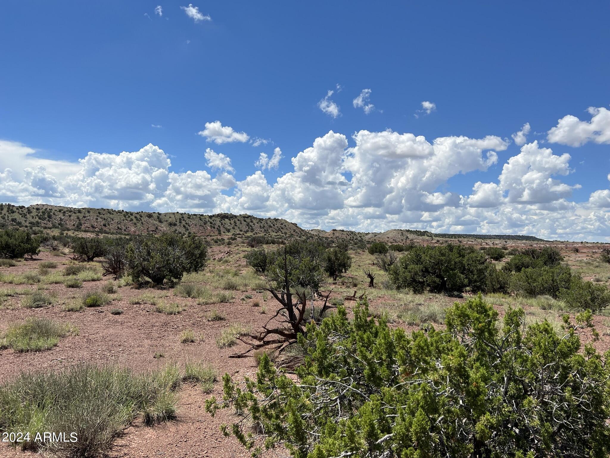 123 County Road St. Johns, AZ 85936 - Photo 5 of 12 a view of a lake with a mountain in the background
