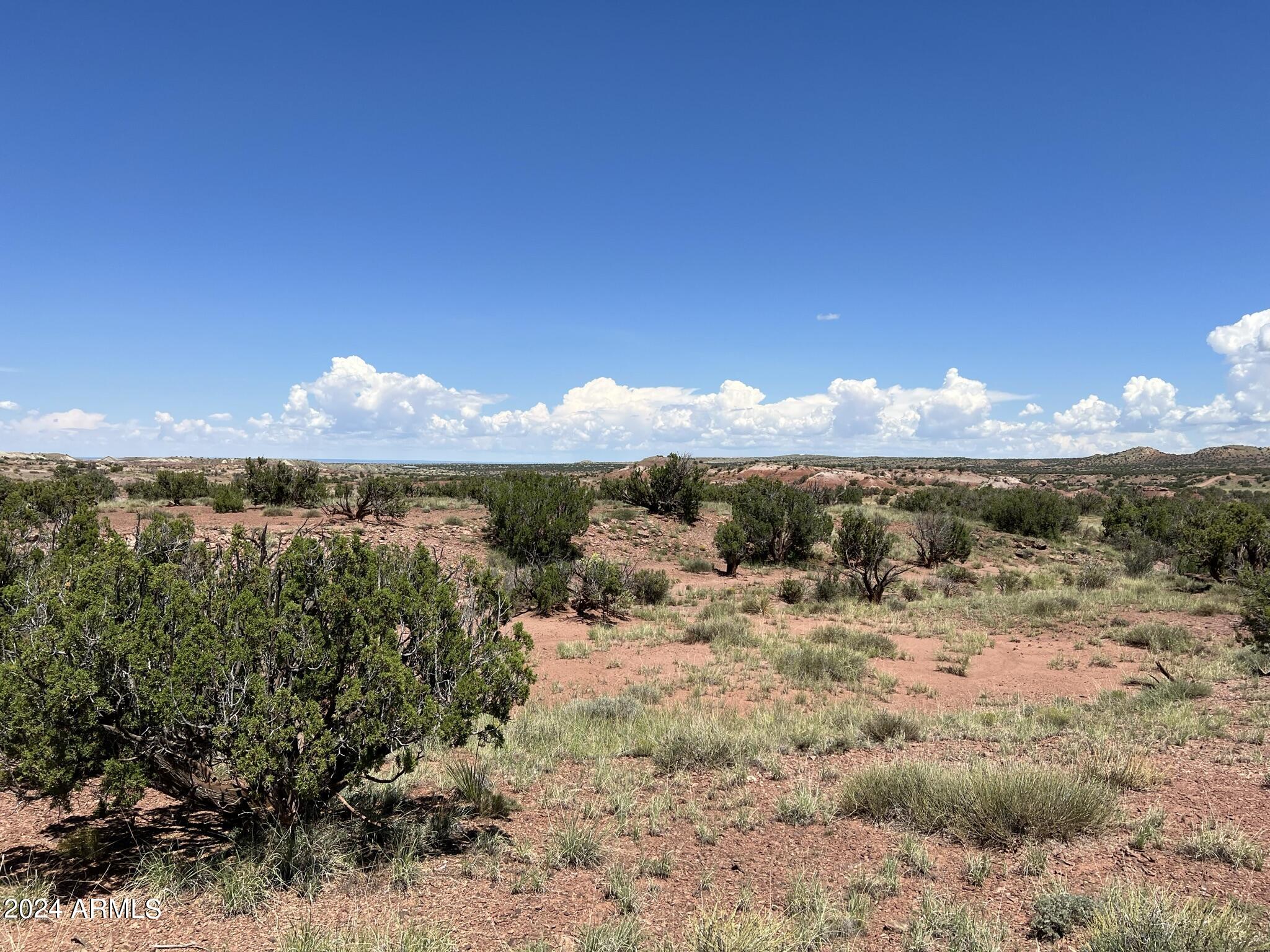 123 County Road St. Johns, AZ 85936 - Photo 6 of 12 a view of a lake with mountains in the background