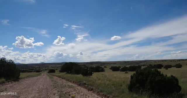 a view of beach and ocean