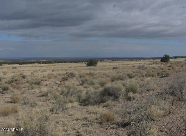 a picture of a window