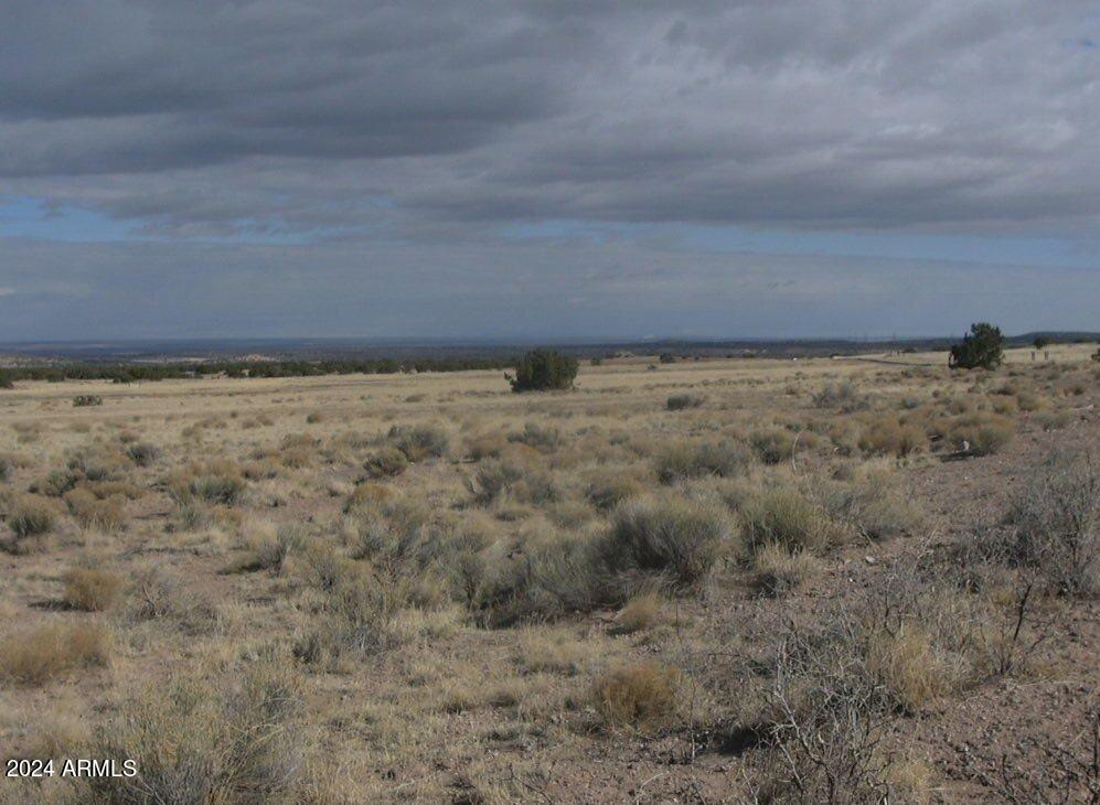 123 County Road St. Johns, AZ 85936 - Photo 8 of 12 a view of a dry field