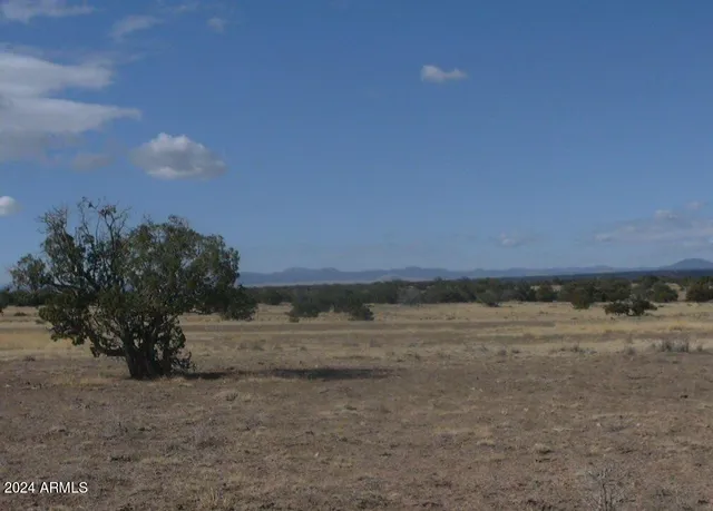 $17,997 | 123 County Road, St. Johns, AZ 85936