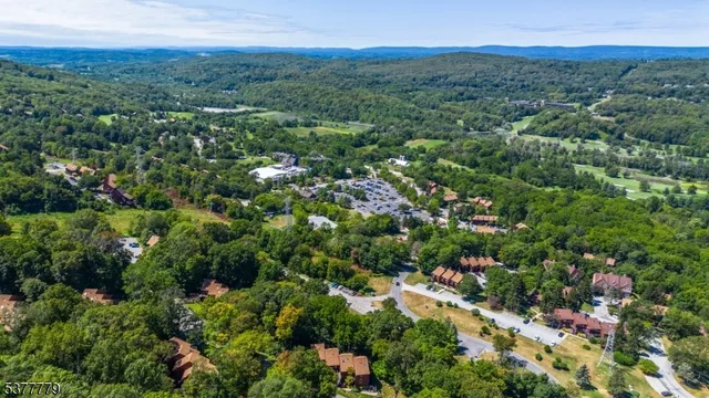 an aerial view of a houses with a lush green hillside