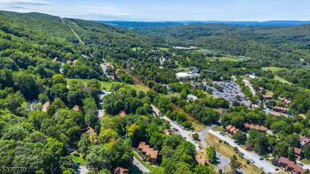 an aerial view of a houses with a lush green hillside