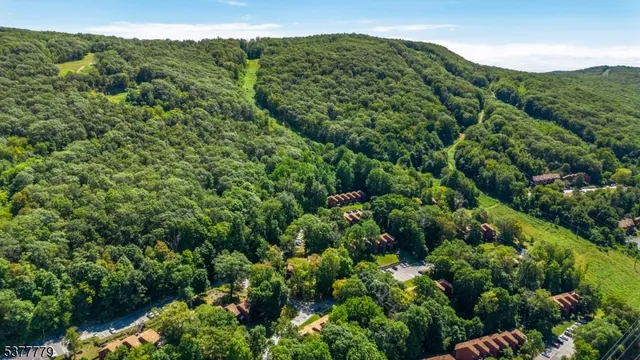 view of a green field with lots of bushes