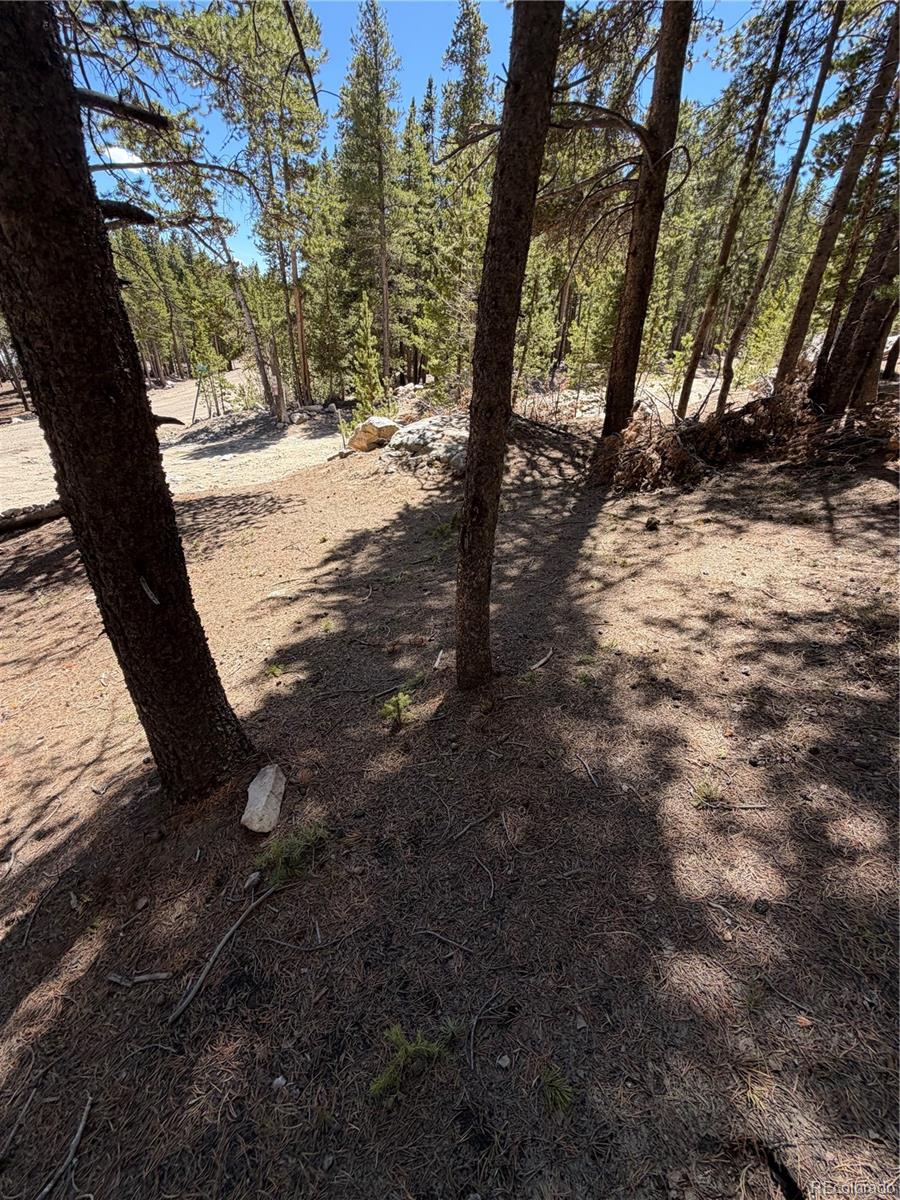Lot 378 Alice Road Idaho Springs, CO 80452 - Photo 9 of 26 a view of a yard with large trees