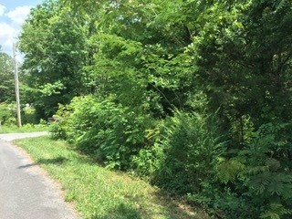 232 Old Horton Road Southeast Cleveland, TN 37323 - Photo 3 of 7 a view of a lush green forest