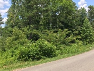 232 Old Horton Road Southeast Cleveland, TN 37323 - Photo 6 of 7 a view of a forest with a street