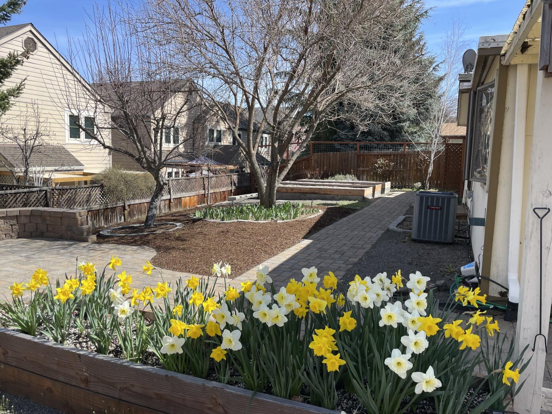 215 Tolman Creek Road, Unit SPC 11 Ashland, OR 97520 - Photo 30 of 36 a view of a yard with flowers
